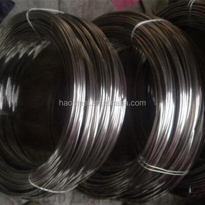 Dây thép không gỉ 304 316 316L 316Ti 309s 310S Mềm sáng mờ 0.05-20mm